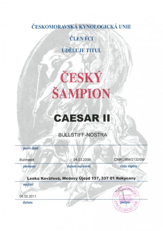 Bullstiff-Nostra Caesar II - Český šampion